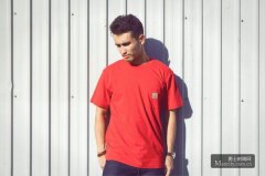 Carhartt WIP 2012ﶬƷ